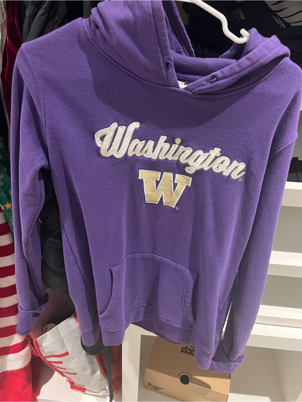 J. America Purple Washington Pullover Hoodie with Gold W